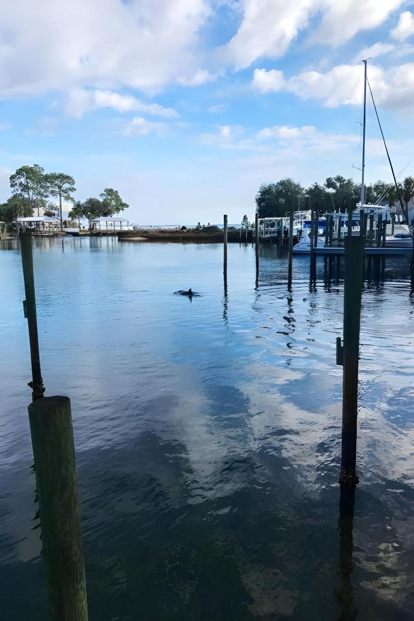 Bay Shore Panama City Beach Ngoại thất bức ảnh